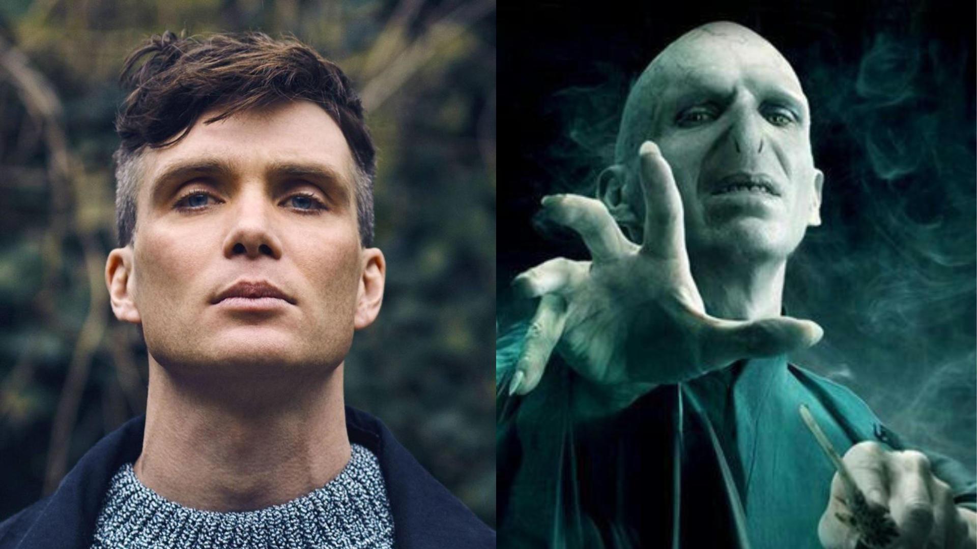 Voldemort Casting: Cillian Murphy and the New Harry Potter